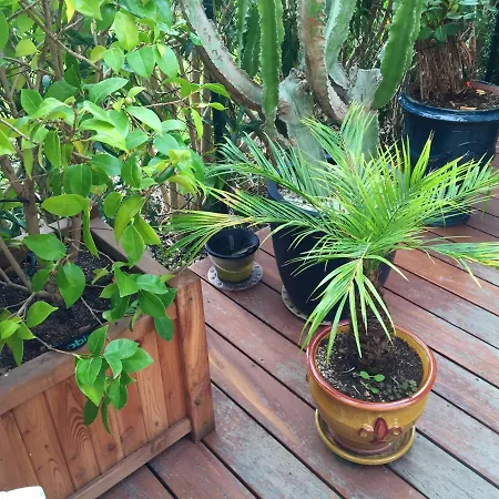 Studio Chemin De La Californie Daire *