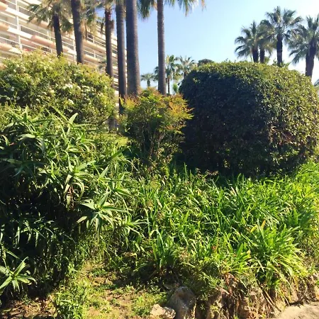 Studio Chemin De La Californie